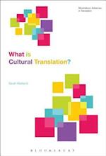 What Is Cultural Translation?