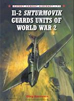 Il-2 Shturmovik Guards Units of World War 2