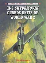 Il-2 Shturmovik Guards Units of World War 2