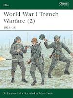 World War I Trench Warfare (2)
