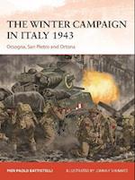 Winter Campaign in Italy 1943