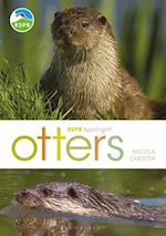 RSPB Spotlight: Otters
