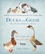 Illustrated Guide to Ducks and Geese and Other Domestic Fowl