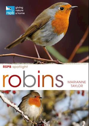 RSPB Spotlight: Robins