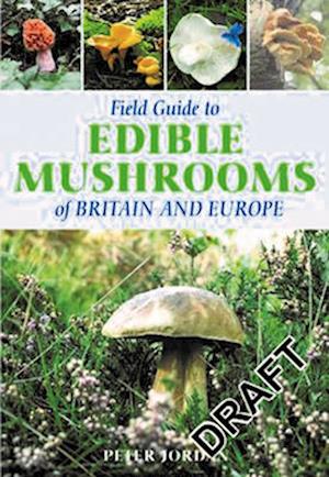Field Guide To Edible Mushrooms Of Britain And Europe