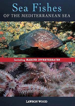 Sea Fishes Of The Mediterranean Including Marine Invertebrates