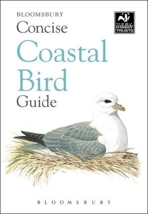 Concise Coastal Bird Guide