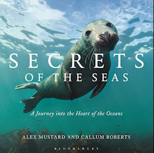 Secrets of the Seas