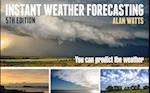 Instant Weather Forecasting