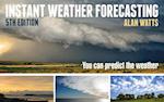 Instant Weather Forecasting