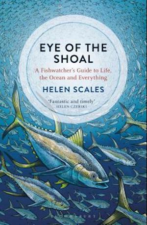 Eye of the Shoal