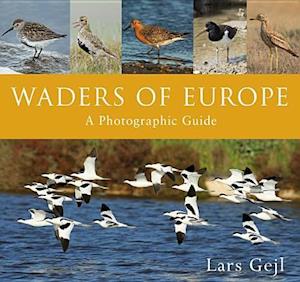 Waders of Europe