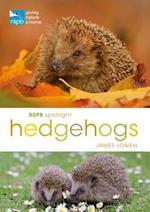 RSPB Spotlight Hedgehogs