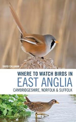 Where to Watch Birds in East Anglia