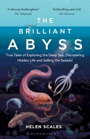 The Brilliant Abyss