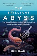 The Brilliant Abyss