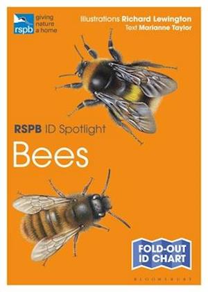 RSPB ID Spotlight - Bees