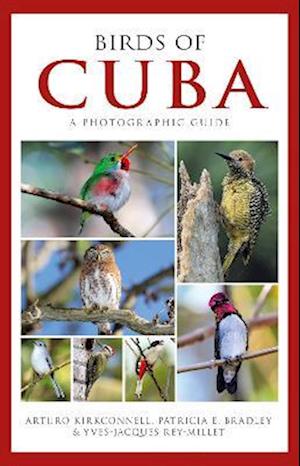 Photographic Guide to the Birds of Cuba