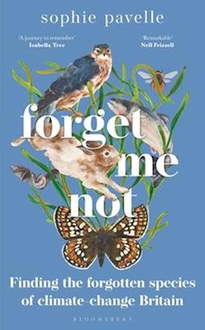 Forget Me Not