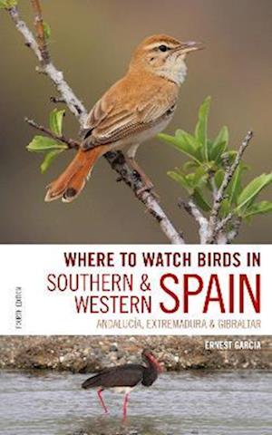 Where to Watch Birds in Southern and Western Spain