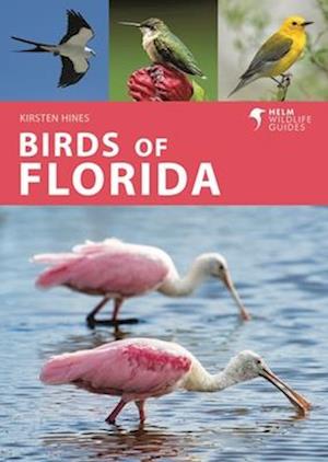 Birds of Florida