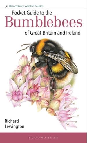 Pocket Guide to the Bumblebees of Great Britain and Ireland