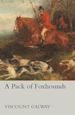 A Pack of Foxhounds