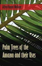 Palm Trees of the Amazon and their Uses