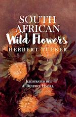 South African Wild Flowers - Illustrated by A. Beatrice Hazell