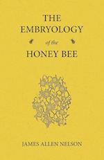 The Embryology of the Honey Bee