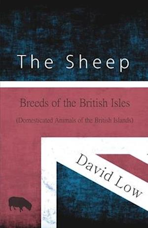 The Sheep - Breeds of the British Isles (Domesticated Animals of the British Islands)