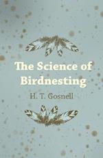 The Science of Birdnesting 