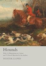 Hounds - With 16 Illustrations in Colour and 75 Pencil Sketches by the Author 