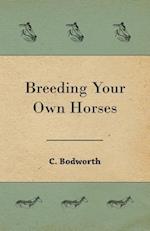 Breeding Your Own Horses