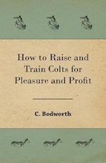 How to Raise and Train Colts for Pleasure and Profit