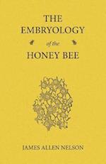 Embryology of the Honey Bee