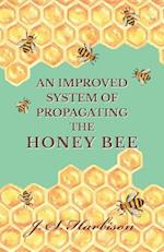 Improved System of Propagating the Honey Bee