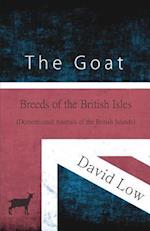 Goat - Breeds of the British Isles (Domesticated Animals of the British Islands)