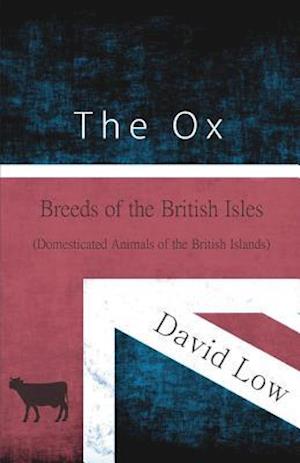 Ox - Breeds of the British Isles (Domesticated Animals of the British Islands)