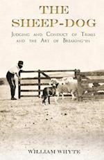 Sheep-Dog - Judging and Conduct of Trials and the Art of Breaking-in