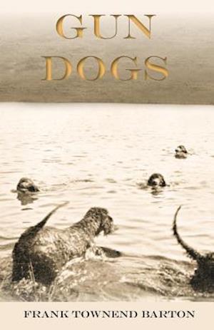 Gun Dogs