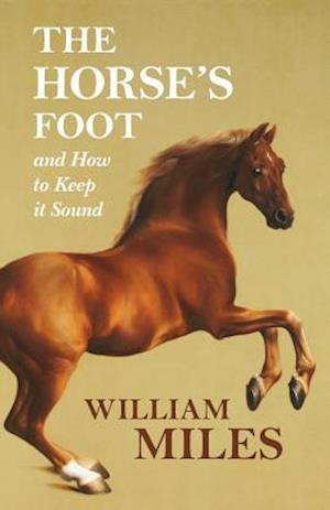 Horse's Foot and How to Keep it Sound