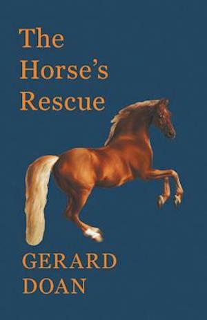 Horse's Rescue