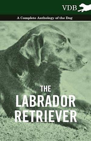 Labrador Retriever - A Complete Anthology of the Dog