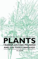 Plants - Transplanting, Pruning and the Tools Involved