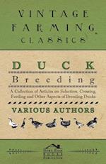 Duck Breeding - A Collection of Articles on Selection, Crossing, Feeding and Other Aspects of Breeding Ducks