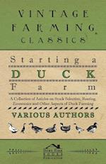 Starting a Duck Farm - A Collection of Articles on Stock Selection, Rearing, Economics and Other Aspects of Duck Farming