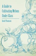 Guide to Cultivating Melons Under Glass
