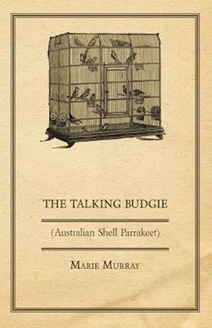 Talking Budgie (Australian Shell Parrakeet)