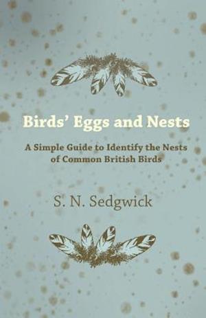 Birds' Eggs and Nests - A Simple Guide to Identify the Nests of Common British Birds